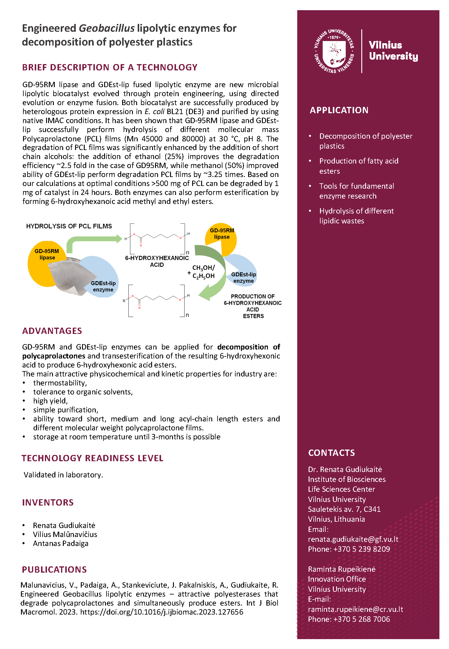 GD 95RM GDEStlip PCL