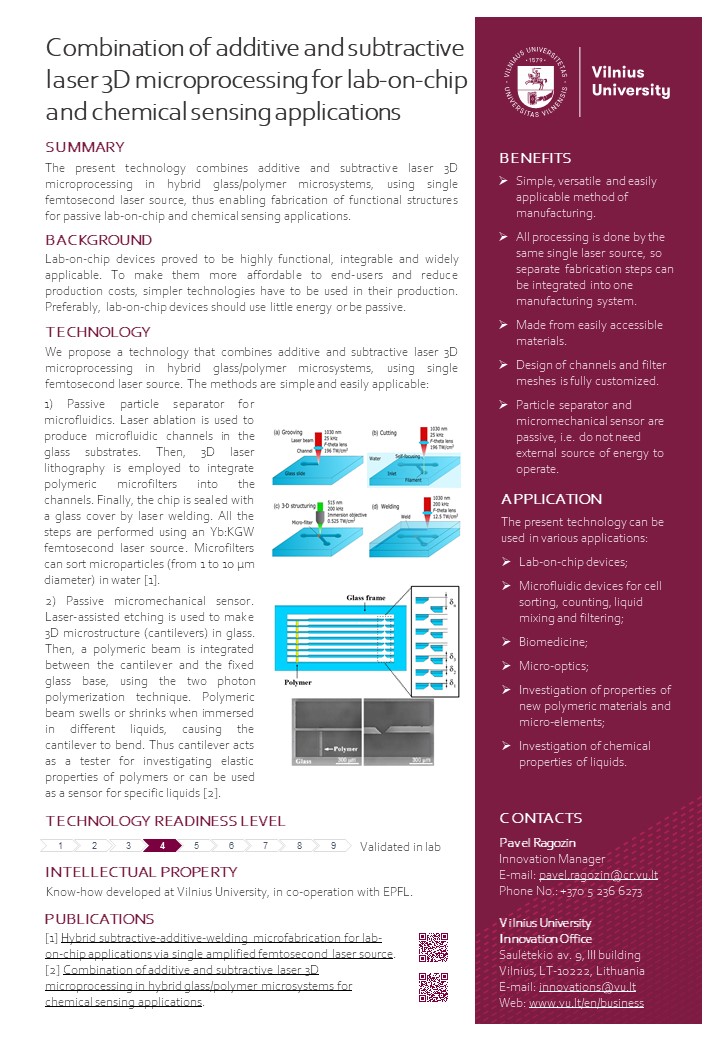 Hybrid glass polymer microprocessing