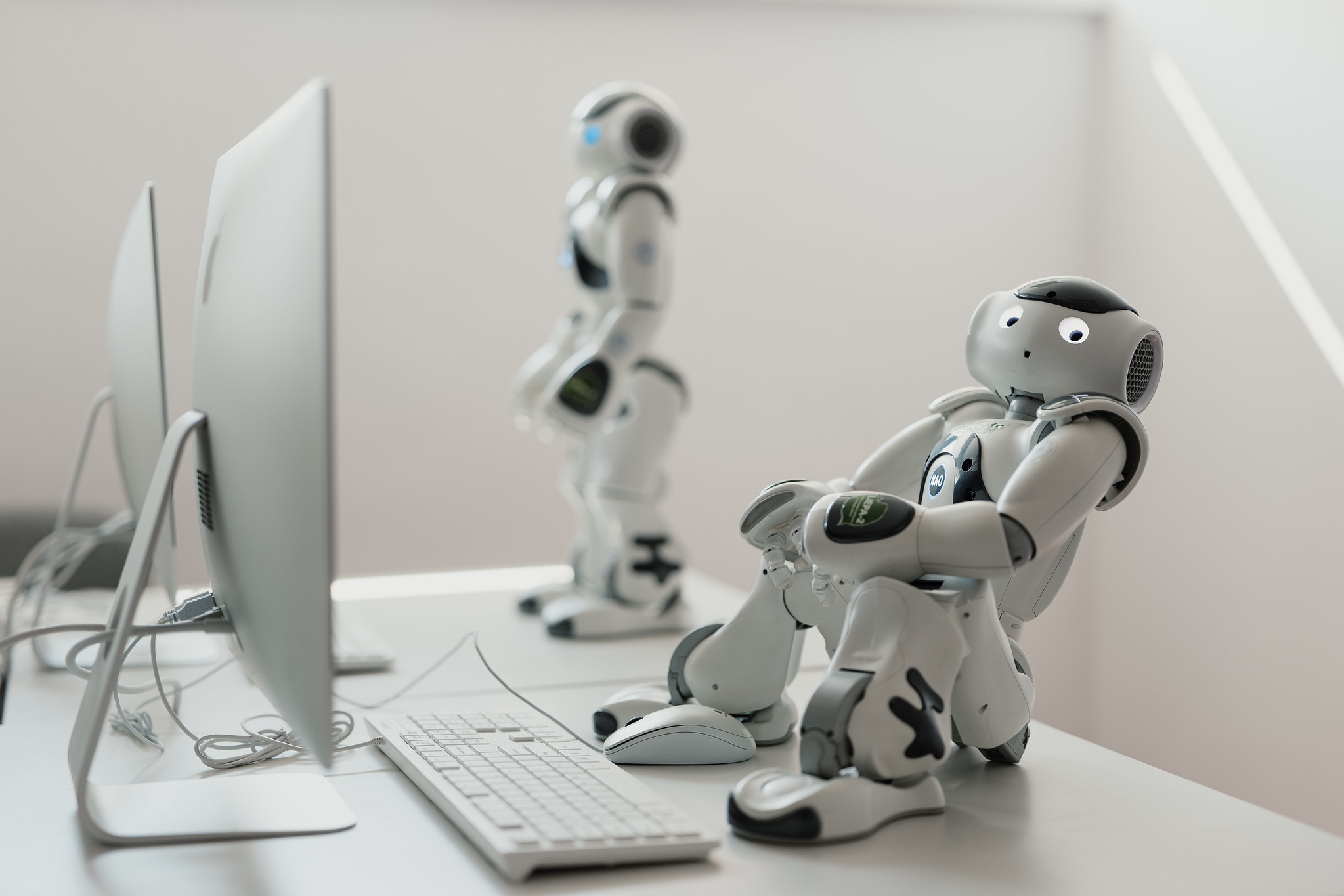 53101926511 875cd6b34c k